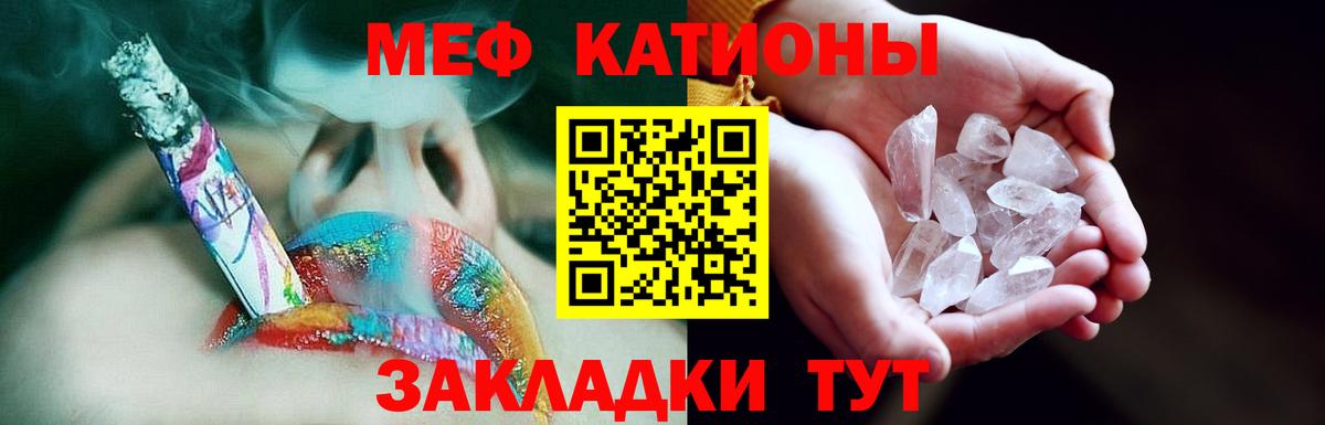МЕФ  Курчатов