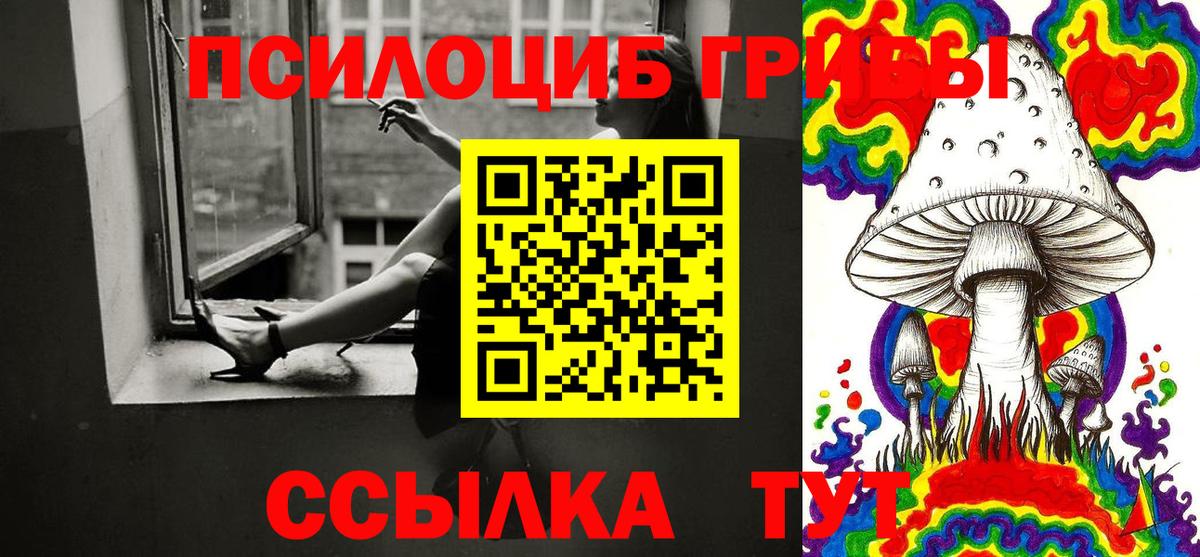 Курчатов  Галлюциногенные грибы Psilocybine cubensis  Вход с VPN  Галлюциногенные грибы GOLDEN TEACHER 