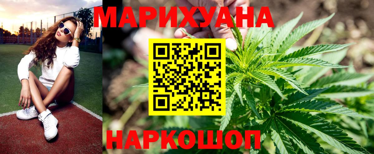 Каннабис конопля Курчатов